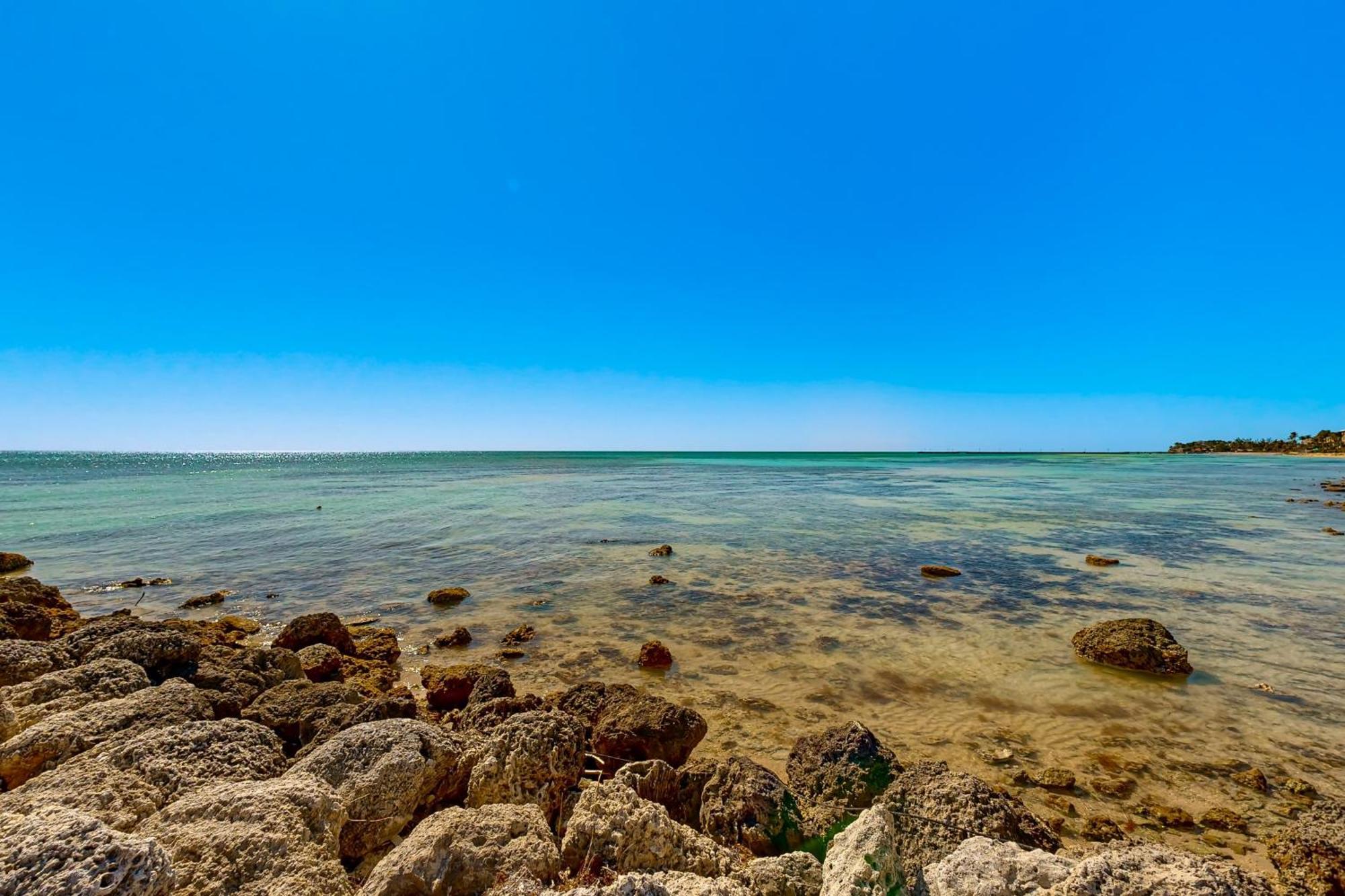 Coconut Palms Βίλα Κι Γουέστ Δωμάτιο φωτογραφία